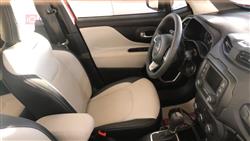 جيب رينيجيد